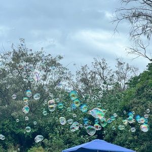 Meet your Posher, Ava